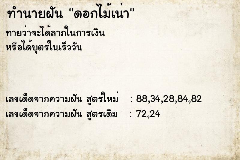 ทำนายฝันดอกไม้เน่า ทำนายฝันทำนายฝันดอกไม้เน่า