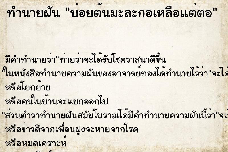 ทำนายฝันทำนายฝันบ่อยต้นมะละกอเหลือแต่ตอ