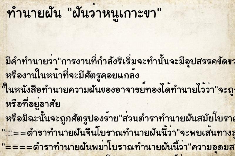 ทำนายฝัน ฝันว่าหนูเกาะขา ทำนายฝัน ฝันว่าหนูเกาะขา