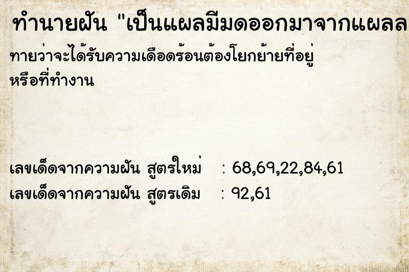 ทำนายฝันเป็นแผลมีมดออกมาจากแผลล ทำนายฝันทำนายฝันเป็นแผลมีมดออกมาจากแผลล