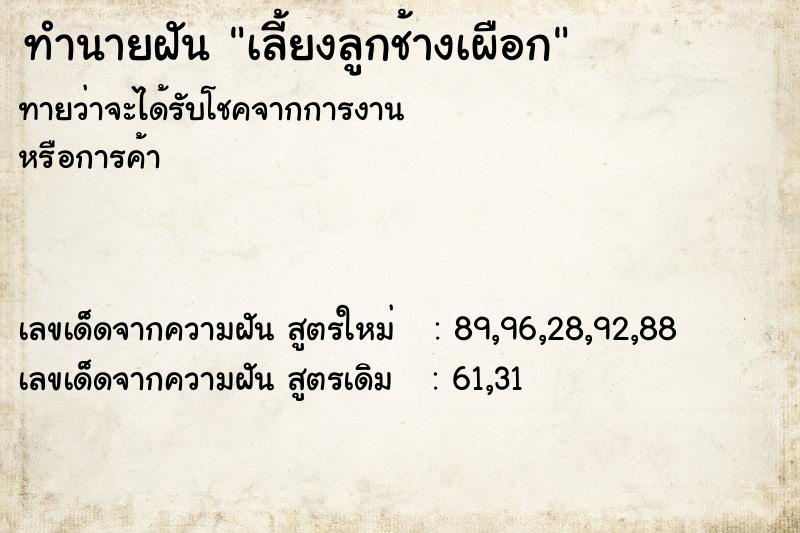 ทำนายฝันทำนายฝันเลี้ยงลูกช้างเผือก