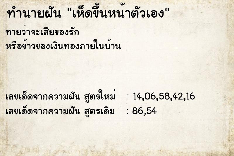 ทำนายฝันทำนายฝันเห็ดขึ้นหน้าตัวเอง