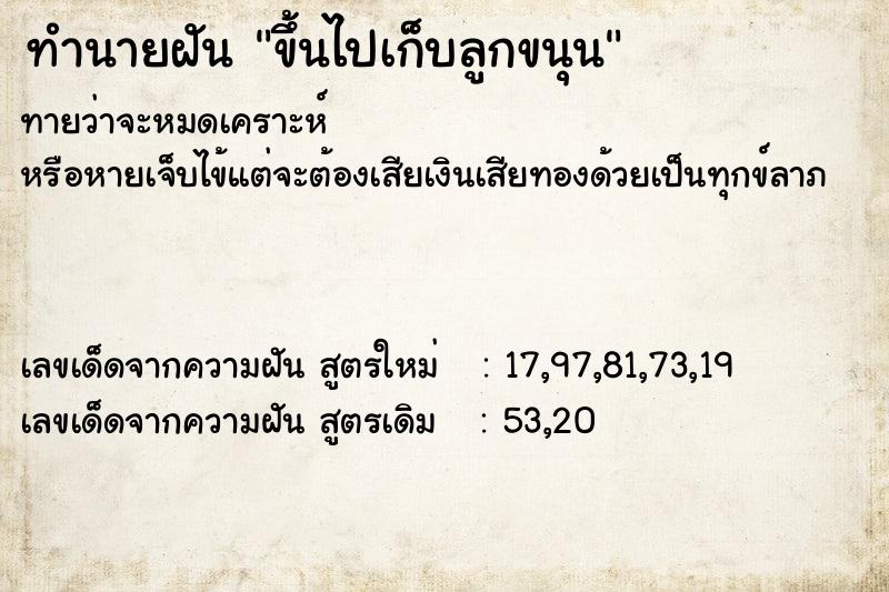 ทำนายฝันทำนายฝันขึ้นไปเก็บลูกขนุน