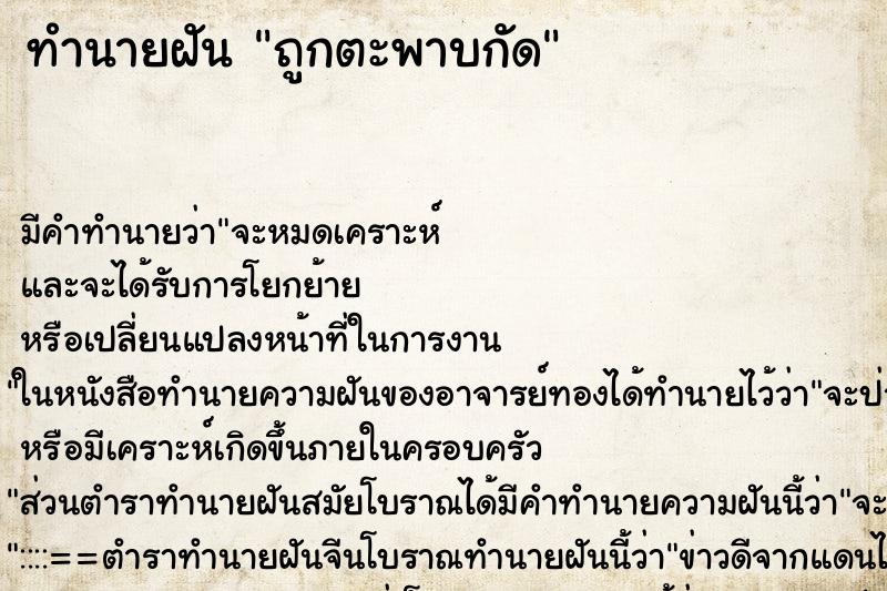 ทำนายฝัน ถูกตะพาบกัด ทำนายฝัน ถูกตะพาบกัด