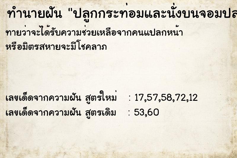 ทำนายฝัน ปลูกกระท่อมและนั่งบนจอมปลวก ทำนายฝัน ปลูกกระท่อมและนั่งบนจอมปลวก