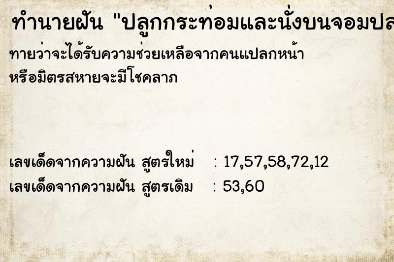 ทำนายฝัน ปลูกกระท่อมและนั่งบนจอมปลวก ตำราโบราณ แม่นที่สุดในโลก