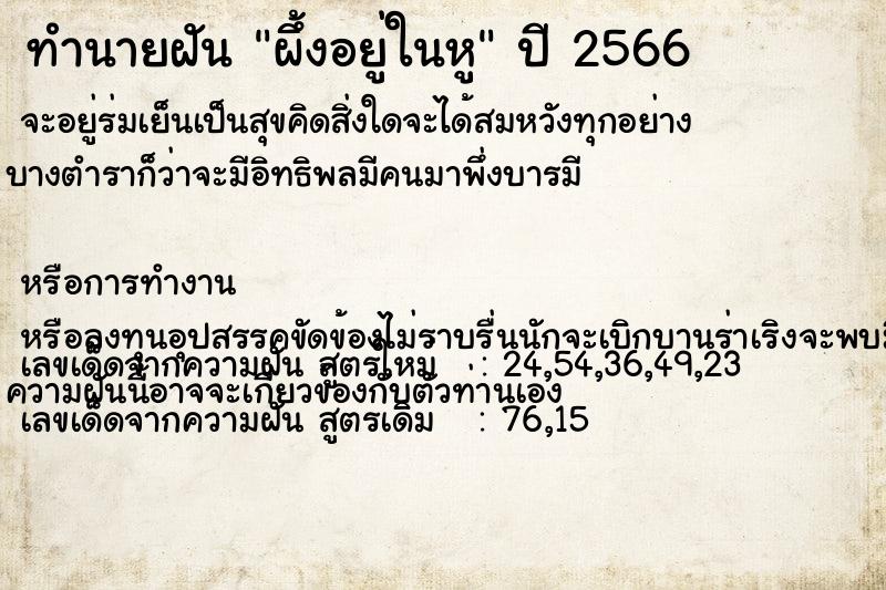 ทำนายฝันทำนายฝันผึ้งอยู่ในหู