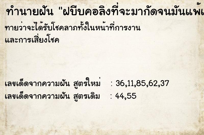 ทำนายฝันฝบีบคอลิงที่จะมากัดจนมันแพ้เรา ทำนายฝันทำนายฝันฝบีบคอลิงที่จะมากัดจนมันแพ้เรา