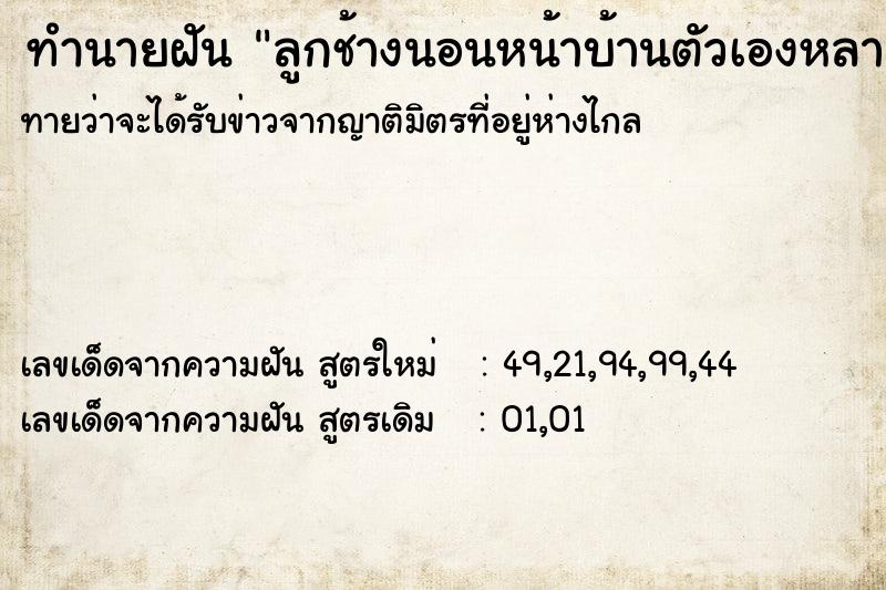 ทำนายฝันลูกช้างนอนหน้าบ้านตัวเองหลายตัว ทำนายฝันทำนายฝันลูกช้างนอนหน้าบ้านตัวเองหลายตัว