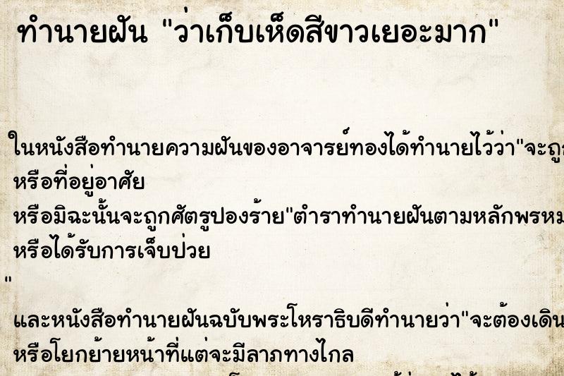ทำนายฝัน ว่าเก็บเห็ดสีขาวเยอะมาก ทำนายฝัน ว่าเก็บเห็ดสีขาวเยอะมาก