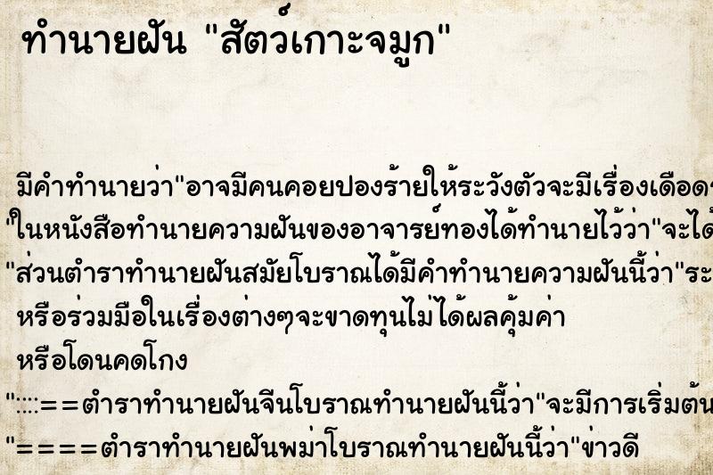 ทำนายฝันทำนายฝันสัตว์เกาะจมูก