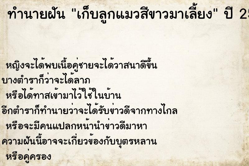 ทำนายฝันเก็บลูกแมวสีขาวมาเลี้ยง ทำนายฝันทำนายฝันเก็บลูกแมวสีขาวมาเลี้ยง