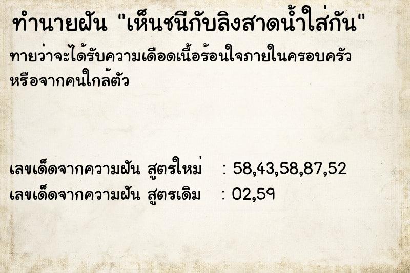 ทำนายฝันเห็นชนีกับลิงสาดน้ำใส่กัน ทำนายฝันทำนายฝันเห็นชนีกับลิงสาดน้ำใส่กัน