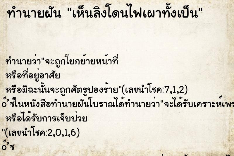 ทำนายฝันเห็นลิงโดนไฟเผาทั้งเป็น ทำนายฝันทำนายฝันเห็นลิงโดนไฟเผาทั้งเป็น