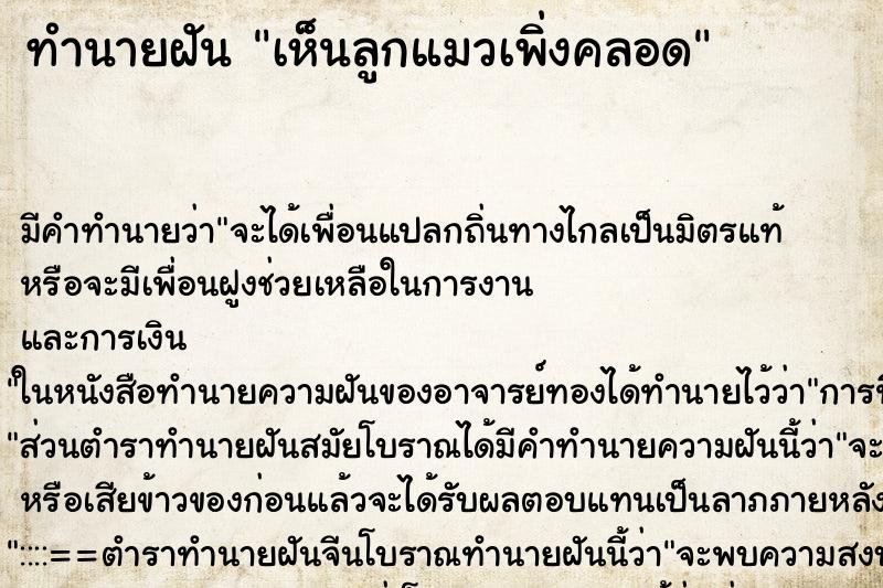 ทำนายฝันเห็นลูกแมวเพิ่งคลอด ทำนายฝันทำนายฝันเห็นลูกแมวเพิ่งคลอด
