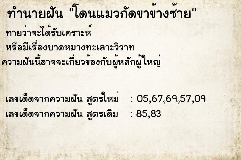 ทำนายฝัน โดนแมวกัดขาข้างซ้าย ทำนายฝัน โดนแมวกัดขาข้างซ้าย