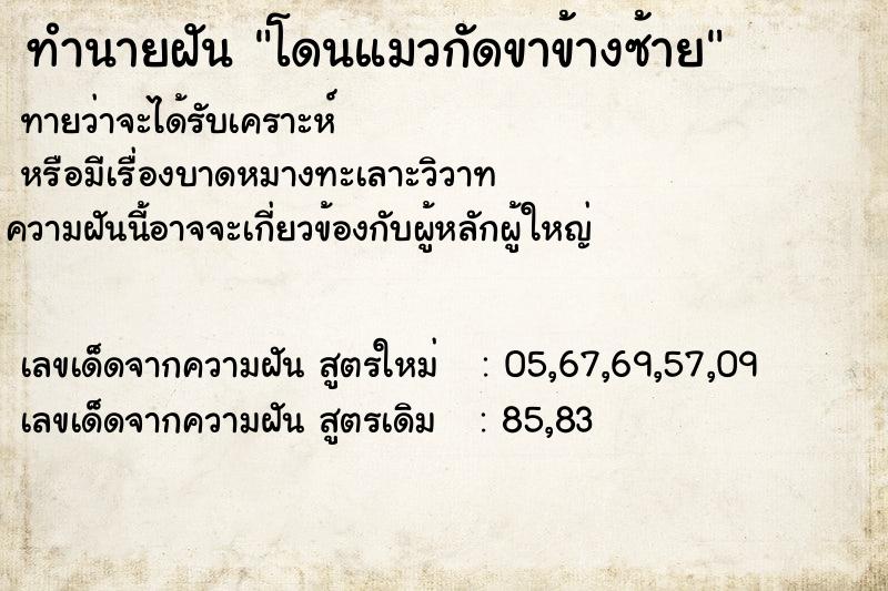 ทำนายฝัน โดนแมวกัดขาข้างซ้าย ตำราโบราณ แม่นที่สุดในโลก