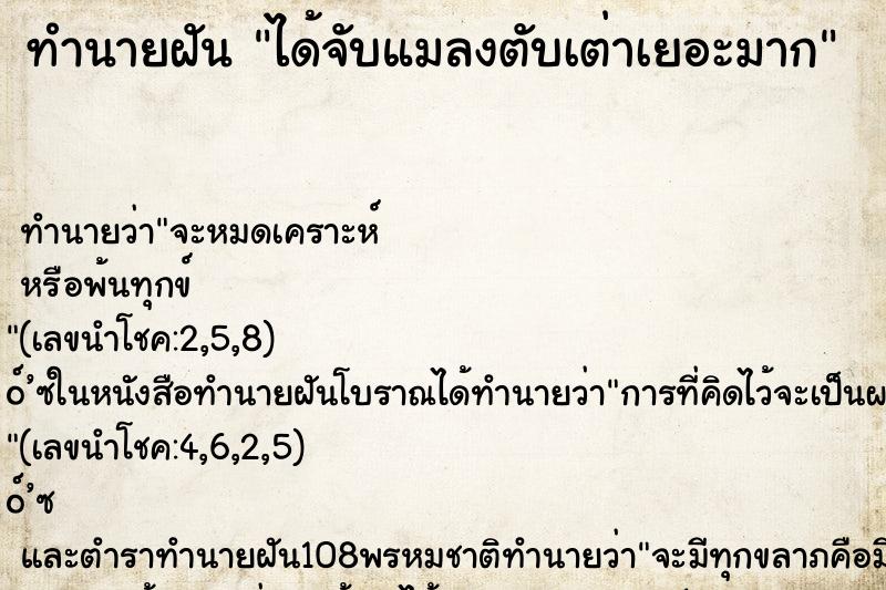 ทำนายฝัน ได้จับแมลงตับเต่าเยอะมาก