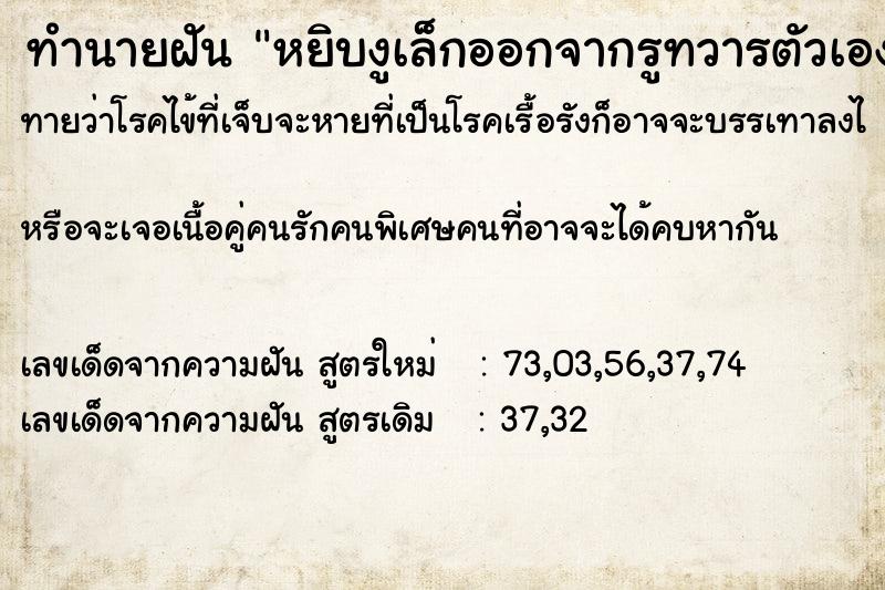 ทำนายฝันทำนายฝันหยิบงูเล็กออกจากรูทวารตัวเอง