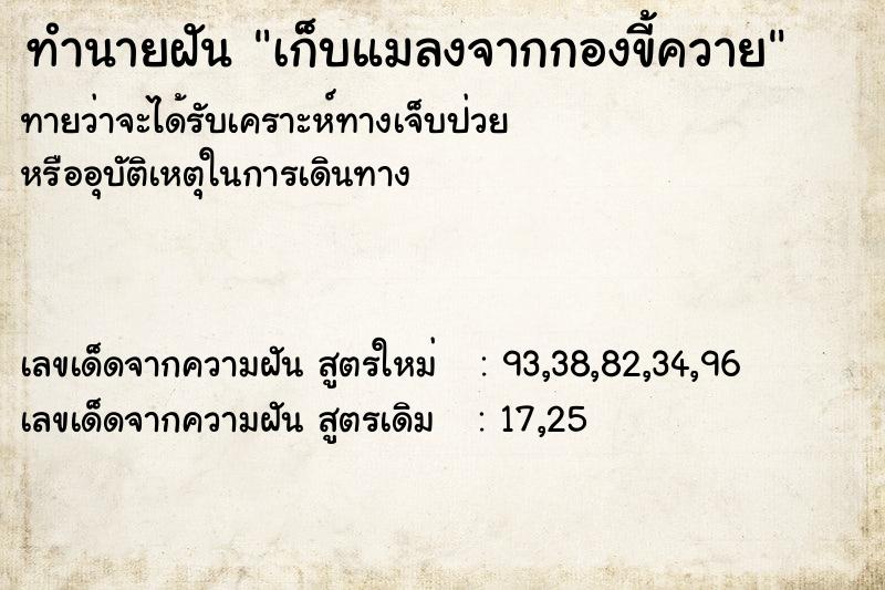 ทำนายฝันทำนายฝันเก็บแมลงจากกองขี้ควาย
