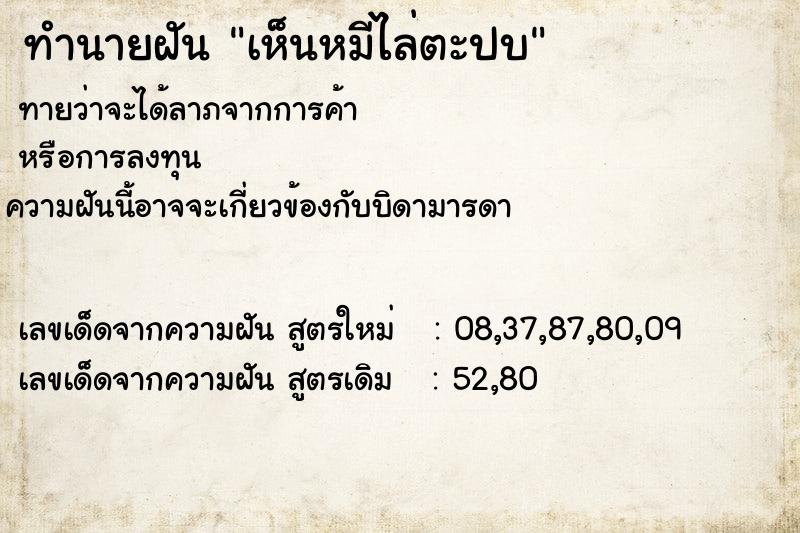 ทำนายฝันเห็นหมีไล่ตะปบ ทำนายฝันทำนายฝันเห็นหมีไล่ตะปบ