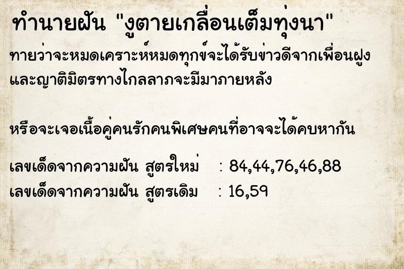 ทำนายฝันงูตายเกลื่่อนเต็มทุ่งนา ทำนายฝันทำนายฝันงูตายเกลื่่อนเต็มทุ่งนา