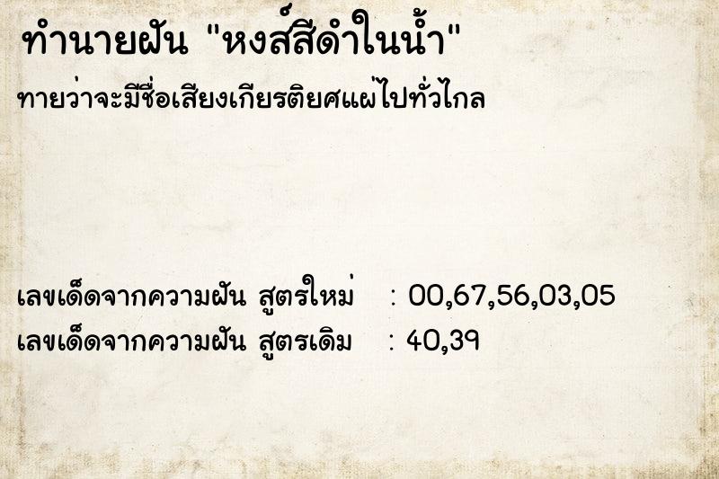 ทำนายฝันหงส์สีดำในน้ำ ทำนายฝันทำนายฝันหงส์สีดำในน้ำ