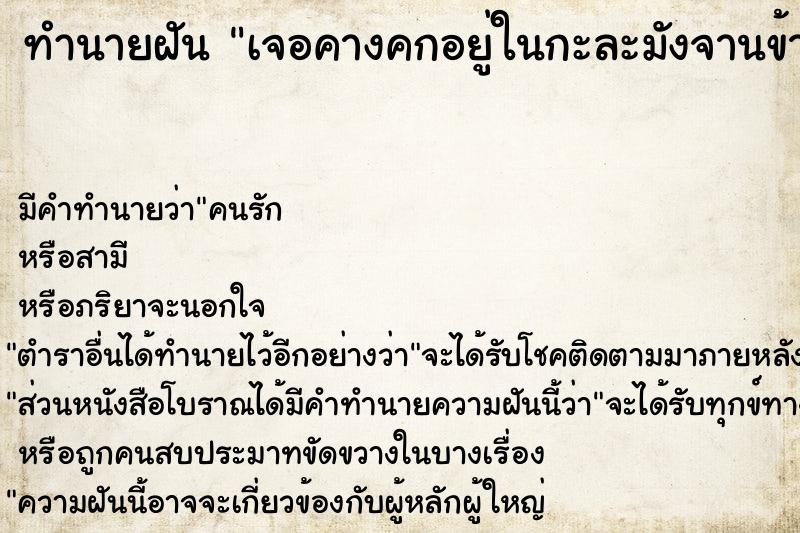 ทำนายฝันเจอคางคกอยู่ในกะละมังจานข้าว ทำนายฝันทำนายฝันเจอคางคกอยู่ในกะละมังจานข้าว