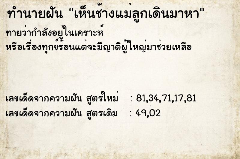 ทำนายฝันเห็นช้างแม่ลูกเดินมาหา ทำนายฝันทำนายฝันเห็นช้างแม่ลูกเดินมาหา