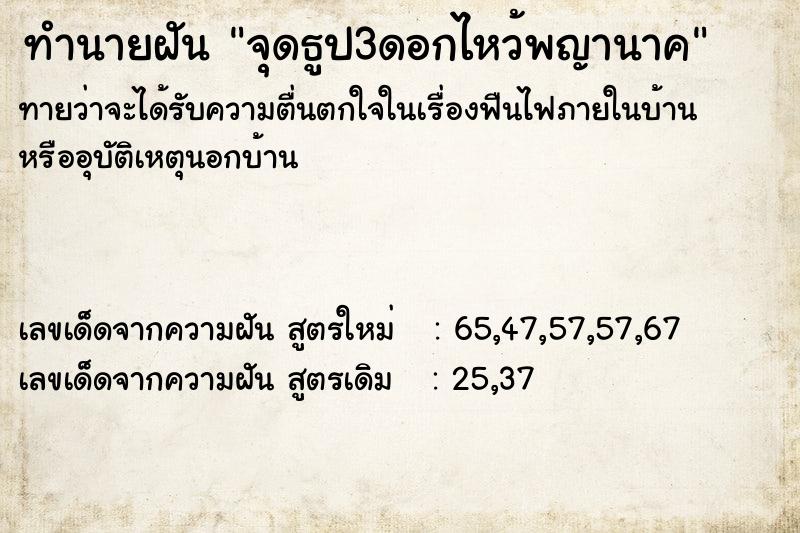 ทำนายฝัน จุดธูป3ดอกไหว้พญานาค ทำนายฝัน จุดธูป3ดอกไหว้พญานาค