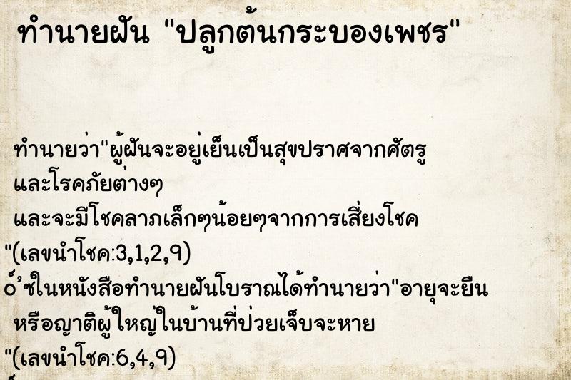 ทำนายฝัน ปลูกต้นกระบองเพชร ทำนายฝัน ปลูกต้นกระบองเพชร