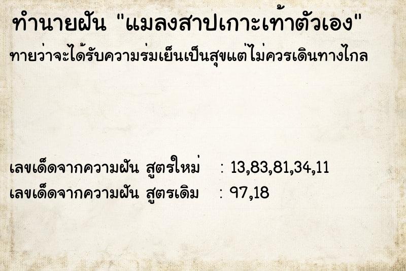 ทำนายฝันทำนายฝันแมลงสาปเกาะเท้าตัวเอง