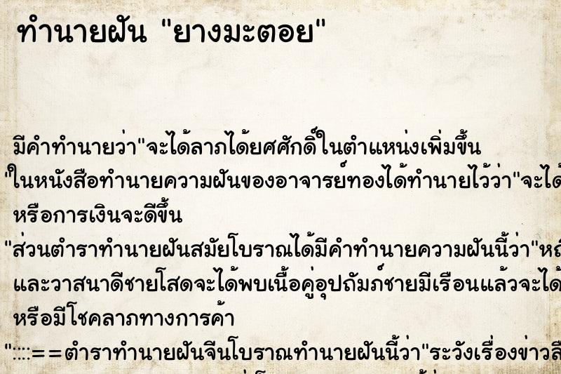 ทำนายฝัน ยางมะตอย ทำนายฝัน ยางมะตอย