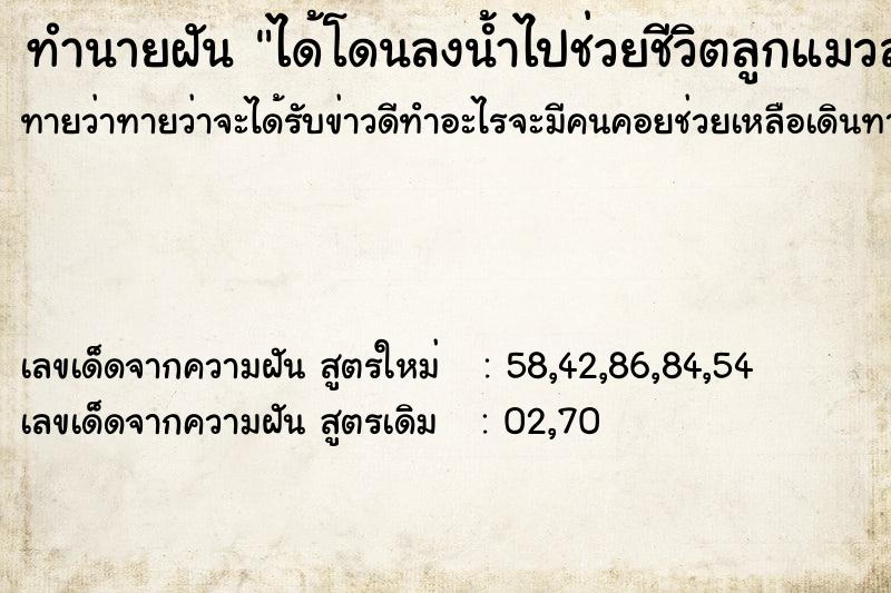 ทำนายฝันทำนายฝันได้โดนลงน้ำไปช่วยชีวิตลูกแมวสามตัว