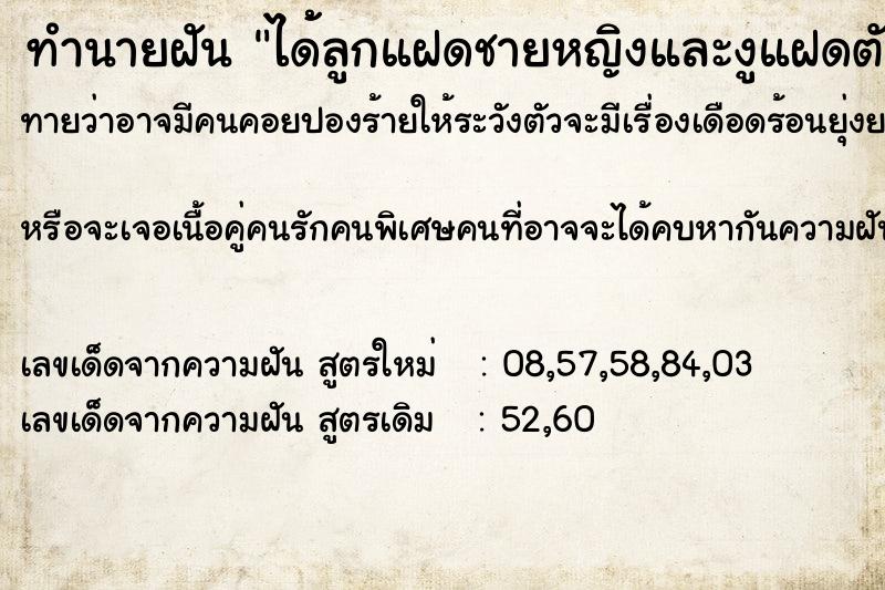 ทำนายฝันทำนายฝันได้้ลูกแฝดชายหญิงและงูแฝดตัวผู้กับตัวเมีย