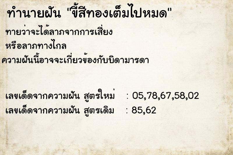 ทำนายฝันขี้สีทองเต็มไปหมด ทำนายฝันทำนายฝันขี้สีทองเต็มไปหมด