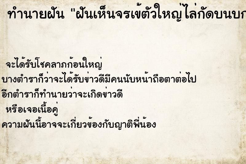 ทำนายฝันฝันเห็นจรเข้ตัวใหญ่ไล่กัดบนบก ทำนายฝันทำนายฝันฝันเห็นจรเข้ตัวใหญ่ไล่กัดบนบก