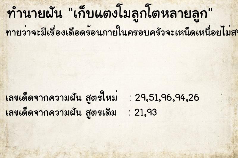 ทำนายฝันเก็บแตงโมลูกโตหลายลูก ทำนายฝันทำนายฝันเก็บแตงโมลูกโตหลายลูก