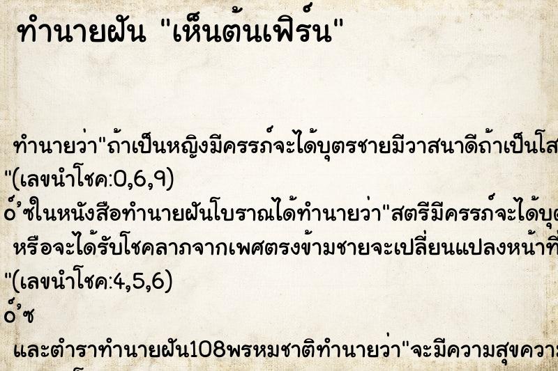 ทำนายฝัน เห็นต้นเฟิร์น ทำนายฝัน เห็นต้นเฟิร์น