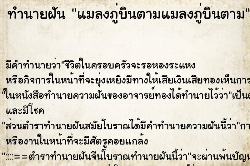 ทำนายฝันแมลงภู่บินตามแมลงภู่บินตาม ทำนายฝันทำนายฝันแมลงภู่บินตามแมลงภู่บินตาม