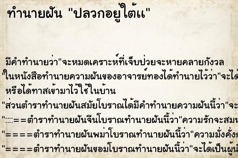 ทำนายฝันปลวกอยู่ใต้เà ทำนายฝันทำนายฝันปลวกอยู่ใต้เà