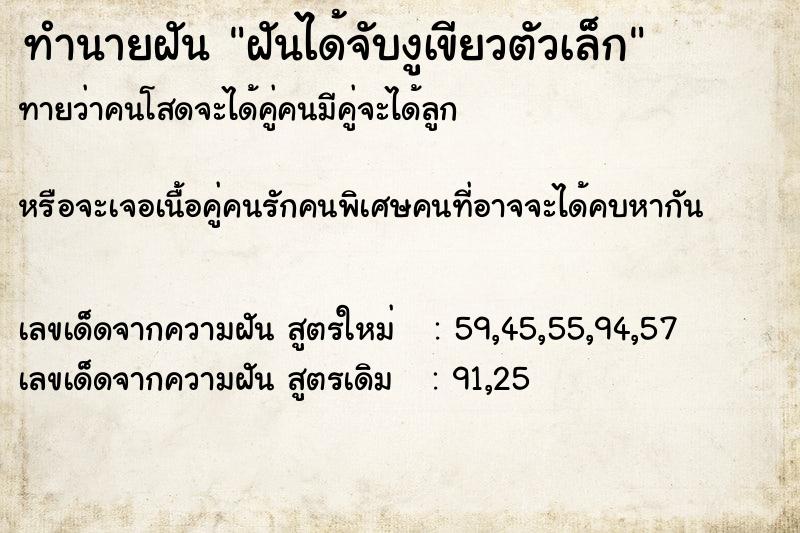 ทำนายฝันทำนายฝันฝันได้จับงูเขียวตัวเล็ก