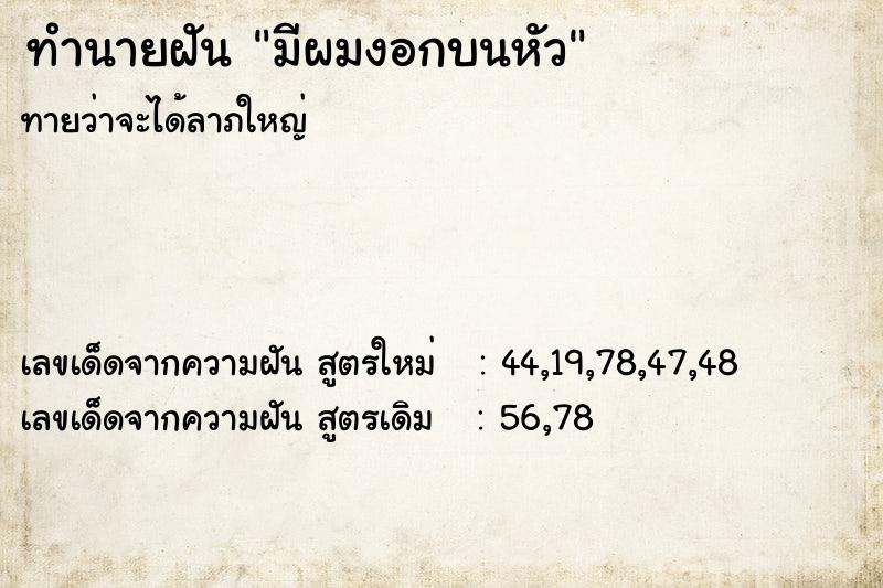 ทำนายฝันทำนายฝันมีผมงอกบนหัว