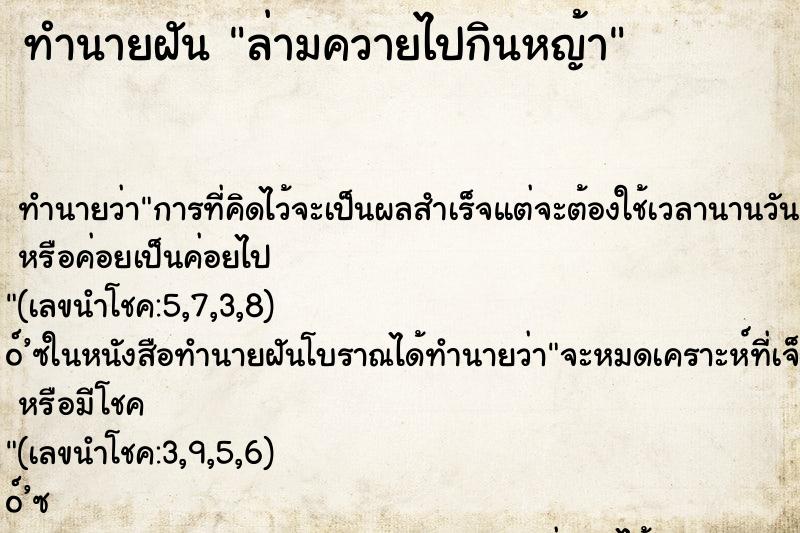 ทำนายฝันล่ามควายไปกินหญ้า ทำนายฝันทำนายฝันล่ามควายไปกินหญ้า