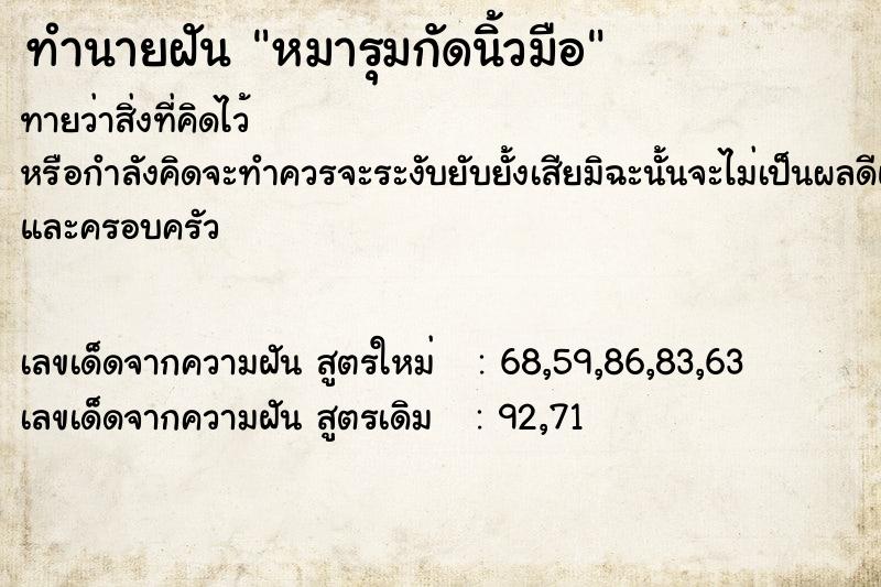 ทำนายฝันหมารุมกัดนิ้วมือ ทำนายฝันทำนายฝันหมารุมกัดนิ้วมือ
