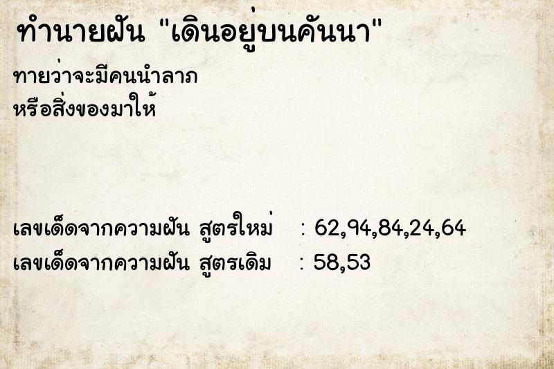 ทำนายฝันเดินอยู่บนคันนา ทำนายฝันทำนายฝันเดินอยู่บนคันนา