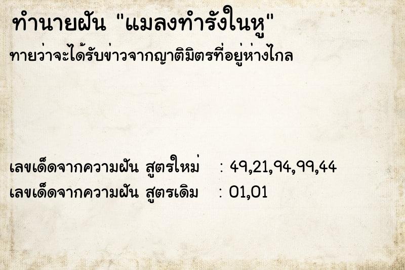 ทำนายฝันแมลงทำรังในหู ทำนายฝันทำนายฝันแมลงทำรังในหู