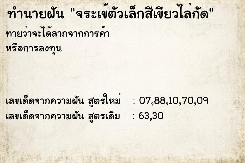 ทำนายฝันจระเข้ตัวเล็กสีเขียวไล่กัด ทำนายฝันทำนายฝันจระเข้ตัวเล็กสีเขียวไล่กัด