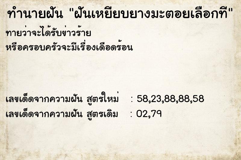ทำนายฝันฝันเหยียบยางมะตอยเลือกที ทำนายฝันทำนายฝันฝันเหยียบยางมะตอยเลือกที