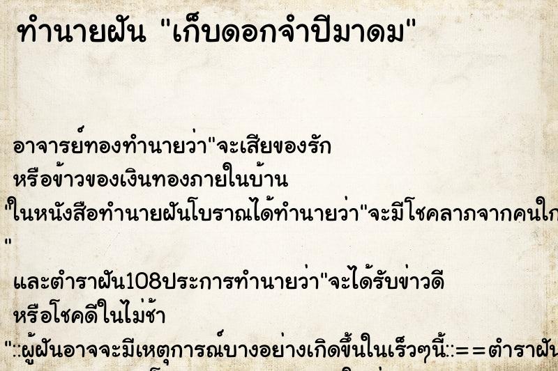 ทำนายฝัน เก็บดอกจำปีมาดม ทำนายฝัน เก็บดอกจำปีมาดม